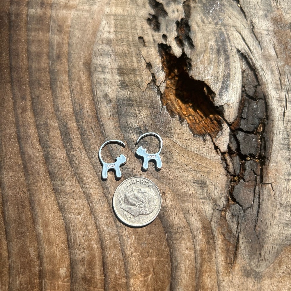Brand new s925 earrings